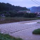 장맛비가 네리던 날의 새벽 아침에 유구 터미널에서 부터 우렁각시 축제장이 될 유마교 부터 창말다리 까지의 이모저모 등을 올려봅니다~~~ 이미지