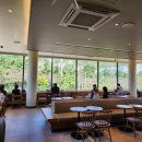 경화벚꽃한의원 이미지