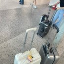 그루밍제주 이미지