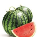 수박 당뇨 당류 당분 탄수화물 수박 당지수 혈당 이미지