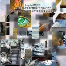 강남-179 이미지