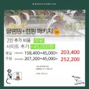 몽키캠핑장 이미지