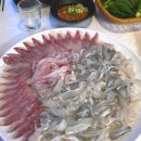 이모상회 이미지