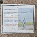 [대구 군위군] 영화 리틀 포레스트 촬영지 후기