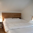 나무사이에 자연속으로 이미지