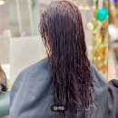 살롱드엘 이미지