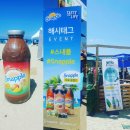강원도축제 고성써핑축제 뮤직페스티벌다녀오다~