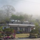 에버그린민박 이미지