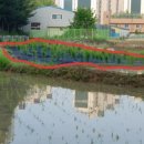 지연2농장 이미지