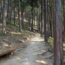 완도읍-15 이미지