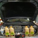 공룡카부분정비 이미지