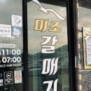 미조갈매기