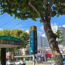 이형일소아과의원 | 노원 마들역 이형일소아과 방문후기(코빼는 기계 있어요)