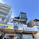 강릉 반려견 호텔 유치원 로젯펫살롱 교동본점 | [강릉 애견동반 맛집] 바다 보며 식사 가능한 고씨네 동해막국수