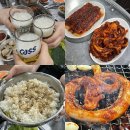 곰장어와아나고 | [대구 북구] 칠성동 대구역 노포 맛집 추천 신대구아나고곰장어ㅣ곰장어, 아나고, 비빔밥 후기