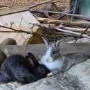 금용축사 네이버블로그