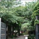 경인약국 이미지