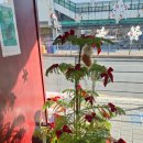 도봉역 화장실 | 도봉 위드디카페 방문 후기｜도봉역 앞, 바로 만든 빵 먹을 수 있는 카페