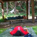 라오니아 이미지