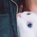 나에게 온날 이미지