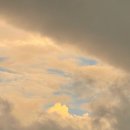 동읍850 | 8월 일상