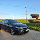 한우목장 이미지