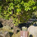 신교농장 이미지