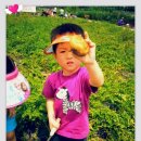 만석군농장 이미지