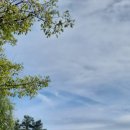 한울목장 이미지