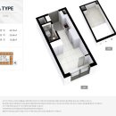 더그레이스경희 이미지