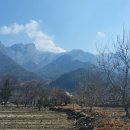 공원부동산 중개인사무소