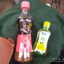 마로니에노래연습장 | 제36회 마로니에 전국여성 백일장 - 참가 후기!