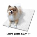 시원애견 이미지