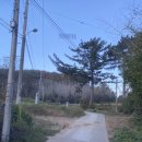 하늘터펜션 | 10만원대 가성비로 즐기는 경주촌캉스 솔직후기 '경주한옥펜션 하늘터밭 '