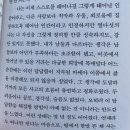 한잎빙수 | 2025.10 │ 앞만 보고 달리는 광기의 독서러