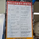 소싸움경기장 | 청도 여행 청도 소싸움경기장 방문후기~