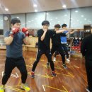 챔프복싱아카데미 이미지