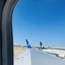 No25호스텔 | 이스탄불 자유여행 | 에어 아스타나 알마티 경유편 솔직후기, 이스탄불 호스텔, 맛집 내돈내산 추천