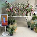 LG베스트샵 달성점 이미지