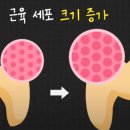 백천헬스 이미지