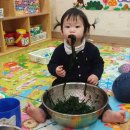 다애어린이집 이미지