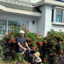 김밥천국 일동점 | 7/29-8/1 제주여행2(27개월 아기와 중문 그랜드 조선 제주 호캉스, 중식 아리아, 키즈카페 최고)