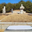 심덕부묘 이미지