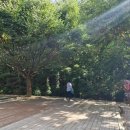 가을 캠핑 다녀왔어요~ 충북 괴산 캠핑장 &lt;화양숲노리캠핑장&gt;