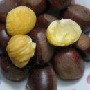 알밤약국 이미지