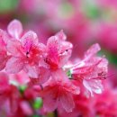 오포2동-24 이미지