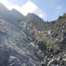 모닝스타 이미지