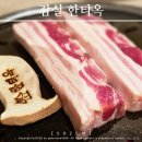 올림픽공원-장미(옥외화장실) | 방이동맛집 잠실 올림픽공원 고기집 한티옥 주차 및 포장배달