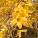 항도초등학교 이미지