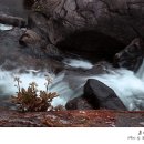 초야목장 이미지